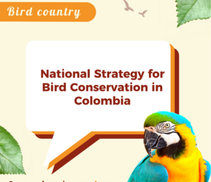 birds-in-colombia-preservation