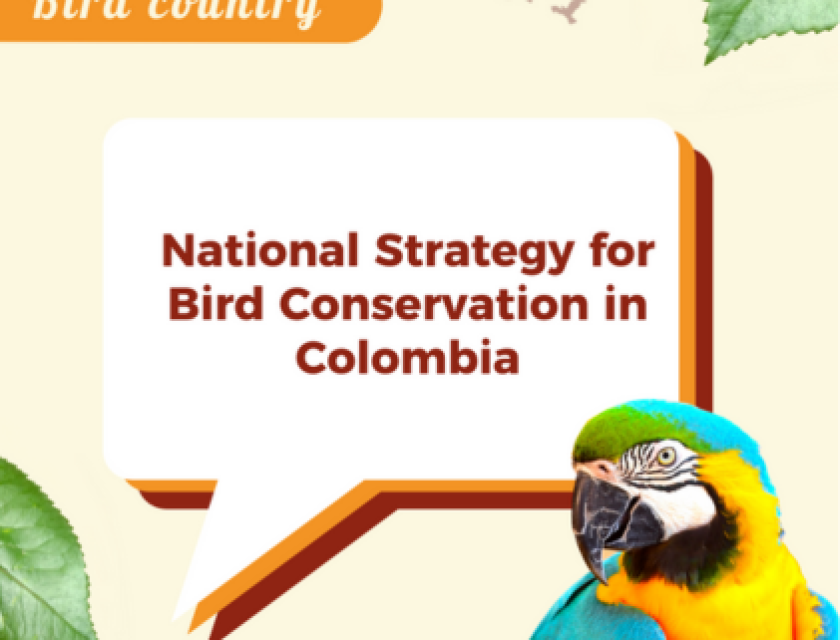 birds-in-colombia-preservation