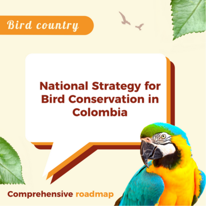 Birds in Colombia: A New Era of Conservation Strategy